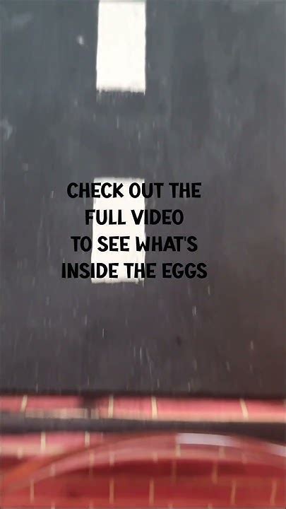 Eggs Eggs Eggs Youtube