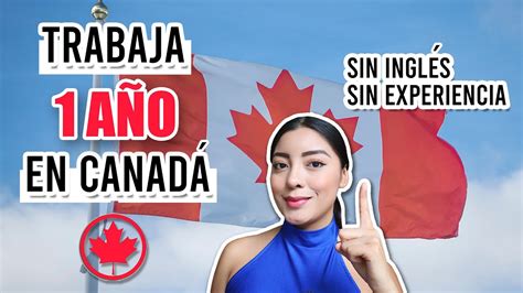 TRABAJA 1 AÑO en CANADÁ SIN SABER INGLÉS y SIN EXPERIENCIA 2022 YouTube