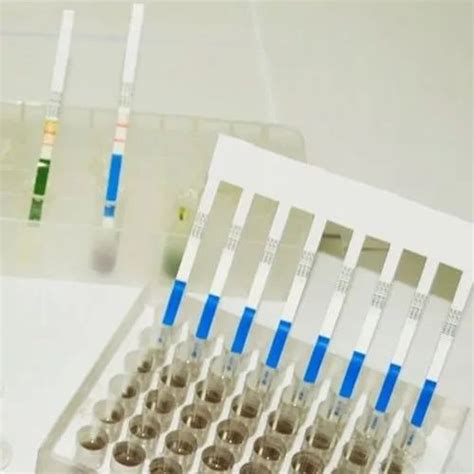 Plant PCR Kit At Rs 26250 Number In Pune ID 21971083773