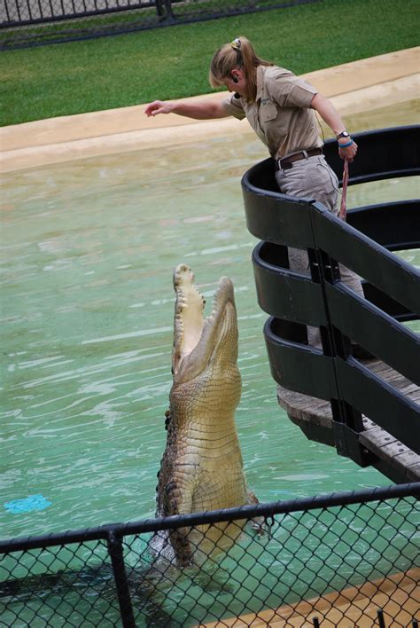 Australia Zoo Crocoseum 10 By Trash Fish On Deviantart