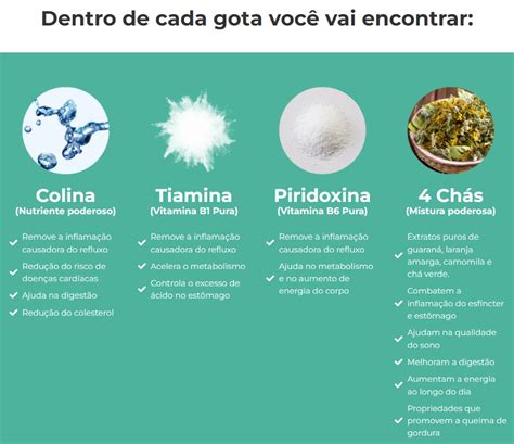 GotasFlux 30ml Suplemento Alimentar em Gotas para Refluxo e Queimação