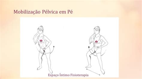 Exercícios Pélvicos Espaço Íntimo Fisioterapia