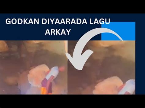 GOD KU YAALA Somalia OO LAGU ARKAY DIYAARAD SEDEXDII BILOOD MAR