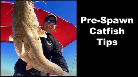 Tips For Catching Catfish Pre Spawn Spring Catfishing How To Catch