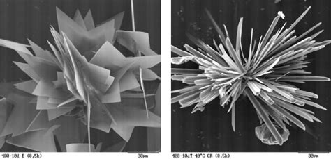 Sem Pictures Of Typical Gypsum Crystals Grown From Solution Download