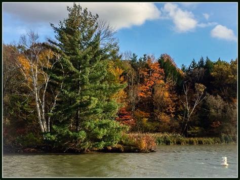 Color Along The Canal Champlain Canal Lock 11 North Of Fort Ann October 14 2014 Photo Kendall