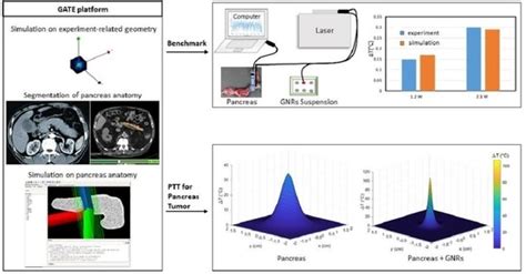 Cancers Free Full Text Gold Nanoparticles Mediated Photothermal Therapy Of Pancreas Using