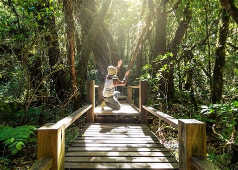 Viajero Rezando En La Hermosa Selva Tropical En El Sendero De Ang Ka En