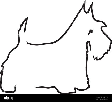 Dog scottie hi-res stock photography and images - Alamy