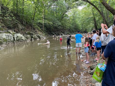 Rubber Ducky Regatta Friends Of Cabin John Creek 2023 Rub Flickr