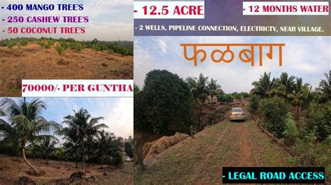 Konkan Properties Well Developed Agriculture Farm For Sale