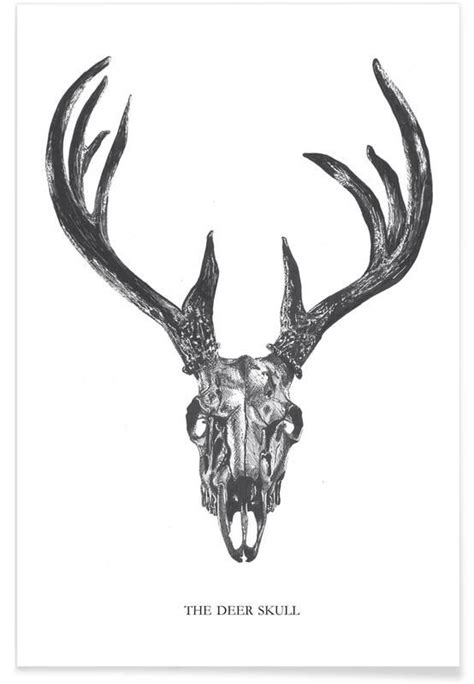 The Deer Skull Affiche Deer Skull Tattoos Deer Skull Drawing Deer Head Tattoo