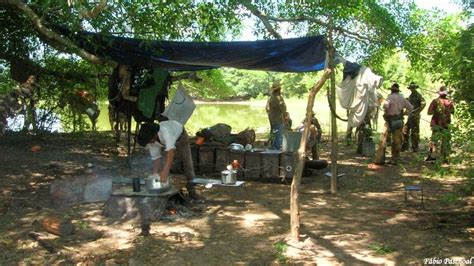 Contos De Paco Encontros A Vida Selvagem Pantanal Cap Tulo