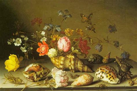 Still Life Of Flowers Shells And Insects On A Stone Ledge By Balthasar