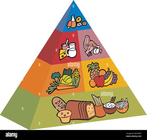 3d Food Pyramid Stock Vector Image And Art Alamy