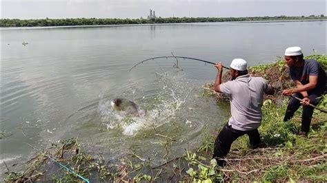 Unbelievable Fishing8795kg Big Rohu Fish Catchingbig Rohu Fishes