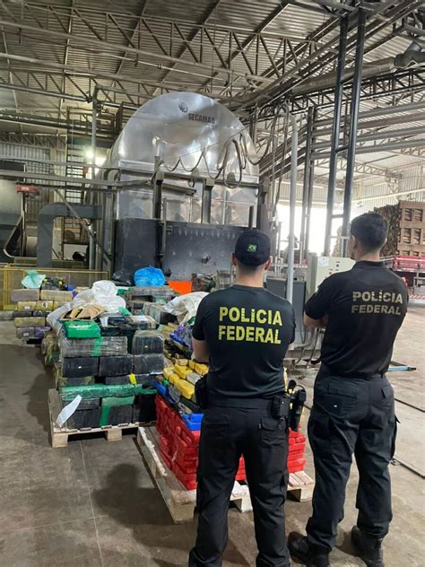 Pf Em Gua Ra Promove A Destrui O De Aproximadamente Toneladas De