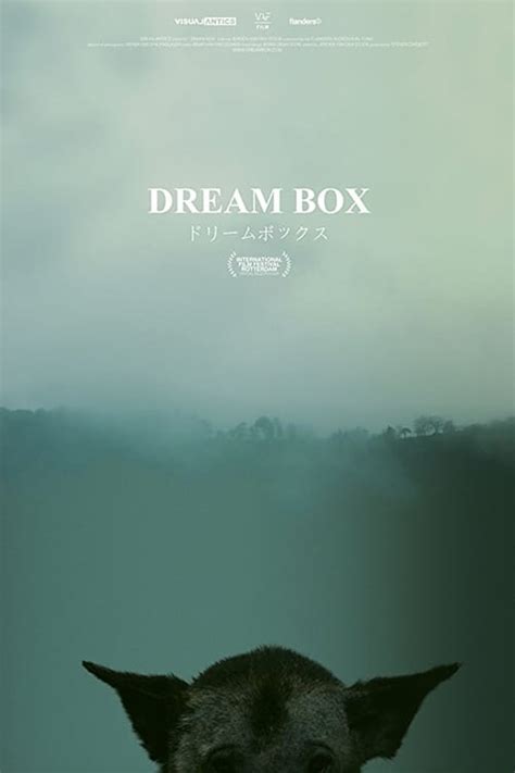 Where to stream Dream Box (2017) online? Comparing 50+ Streaming Services