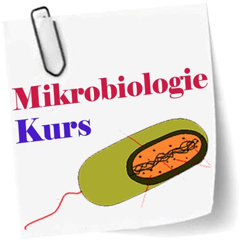 Mikrobiologie Kurs Apps On Google Play