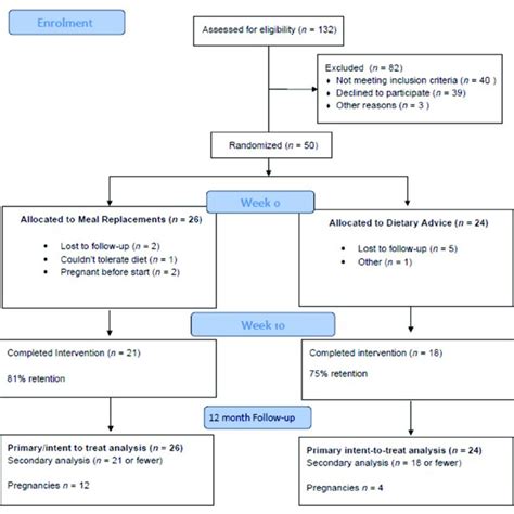 Flow Of Participants Through The Study Download Scientific Diagram