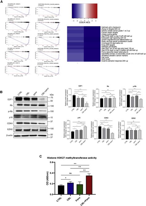 Dual Targeting Of The Epigenome Via Fact Complex And Histone