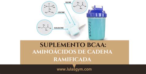 BCAA AMINOÁCIDOS DE CADENA RAMIFICADA Lulasgym