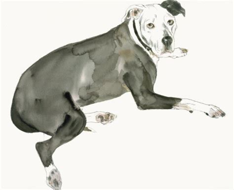 David Remfry People And Dogs Drawn Together Rugby Art Gallery