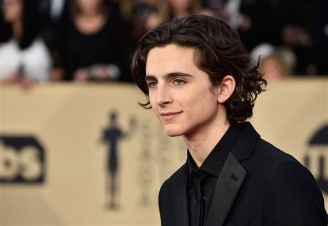 An Ode to Timothée Chalamet's Insanely Chiseled Jawline | POPSUGAR Celebrity UK