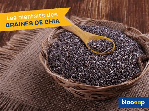 Les Bienfaits Des Graines De Chia