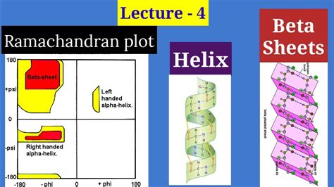 Lect4 Ramachandran Plot Drawing Alpha Helix Beta Sheet Secondary