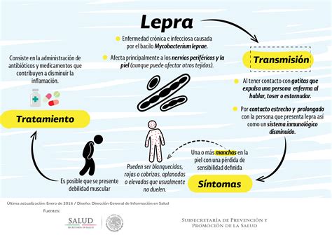 Infografía Lepra Secretaría De Salud Gobierno Gob Mx