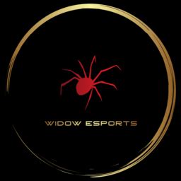 Widow Esports Profile Challengermode