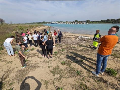 Bibione Dopo Lincendio Del 2022 Prosegue La Rinascita Della Pineta