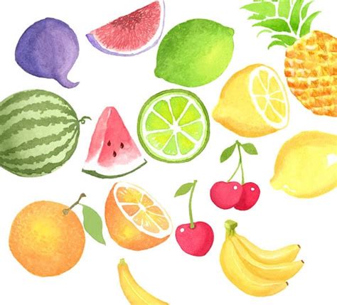 Watercolor Summer Fruits Clipart Set Citrus Fruit Etsy Hong Kong