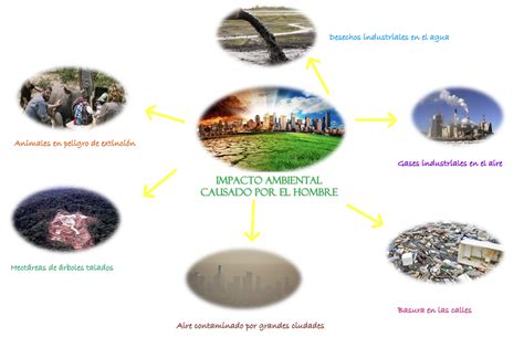 Mapa Mental Sobre Impacto Ambiental Revoeduca