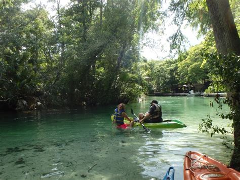 Weeki Wachee Springs Home Of The Original Mermaids The Crystal Clear