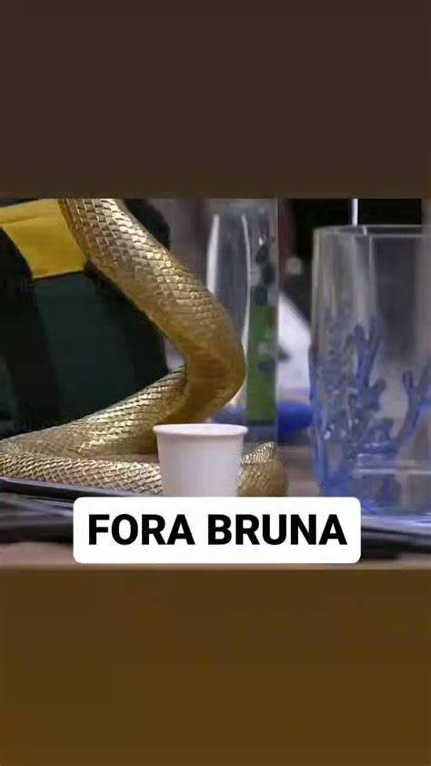 Mi posturada e calma on Twitter Desde de já sou ForaBruna BBB23