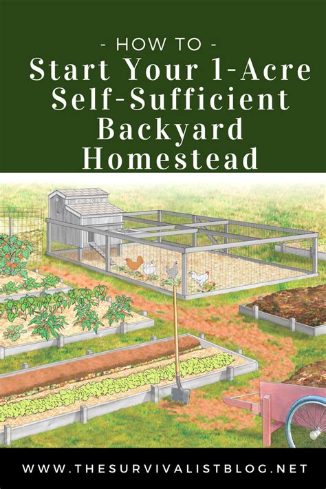 How To Start Homesteading On 1 Acre The Survivalist Blog Backyard