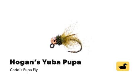 Fly Tying Tutorial Hogan S Yuba Pupa Youtube