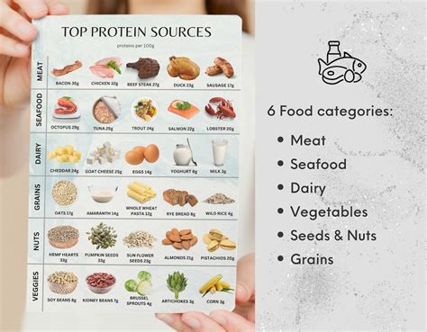 Protein Chart Poster Protein Cheat Sheet Protein Sources Highest Protein Food List Protein