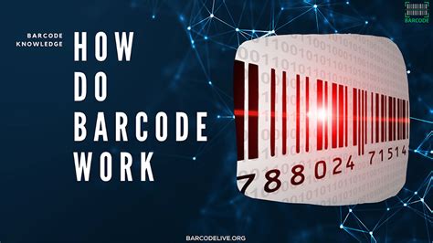 How Do Barcodes Work A Complete Guide Barcode Knowledge