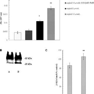 (A) Caspase 3 activation in deoxygenated erythrocytes. Activity of ...