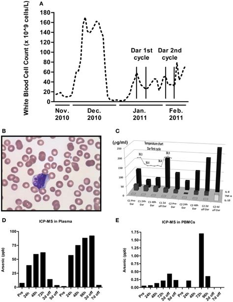 A White Blood Cell Counts Were Measured Every Time The Patient Was