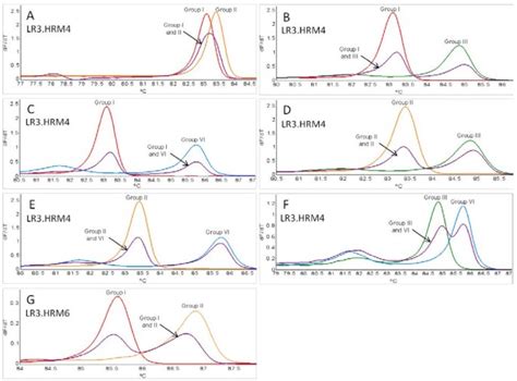 Real Time Rt Pcr High Resolution Melting Curve Analysis And Multiplex