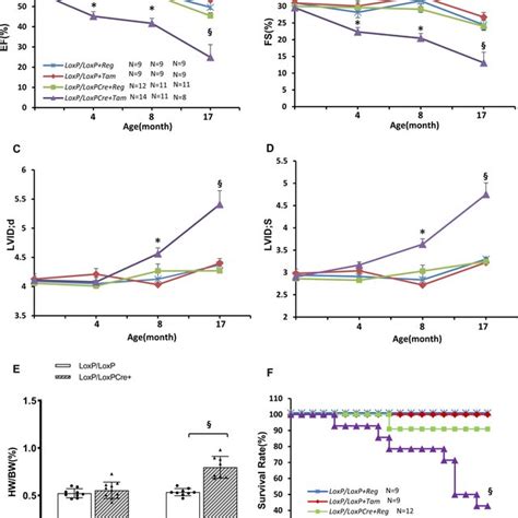 Atg5 Knockdown Impaired Cardiac Function And Survival Cardiac Specific Download Scientific