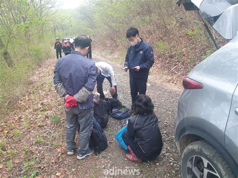 남부지방산림청 봄철 산림 불법행위 합동단속불법 산나물 산행도 금지