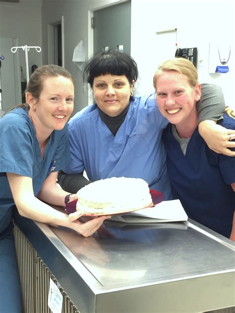 National Veterinary Technician Week - Amherst Veterinary Hospital