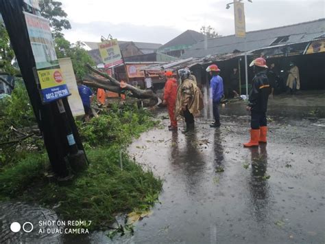 Hujan Angin Di Bantul Belasan Pohon Tumbang Dan Rumah Roboh