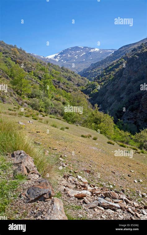 Paisaje Del R O Poqueira Gorge Valle Alto Alpujarras Sierra Nevada