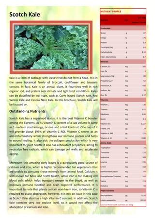 Green Smoothie Report Finalised Work Pdf PDF